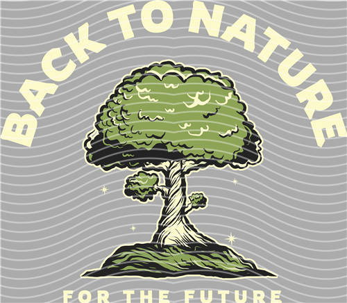 Street design-JT 4473